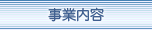 ���Ɠ��e